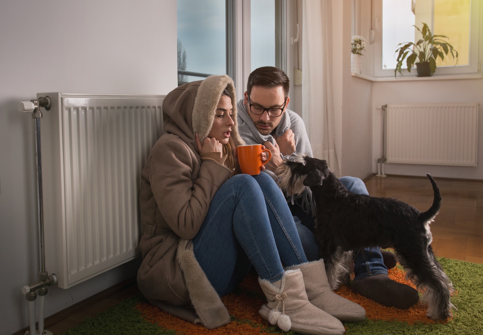 Common Heating Problems (and How You Can Prevent Them)