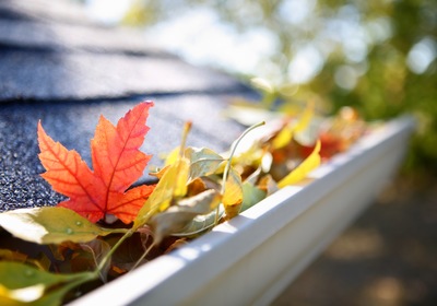 Central Florida Fall Maintenance