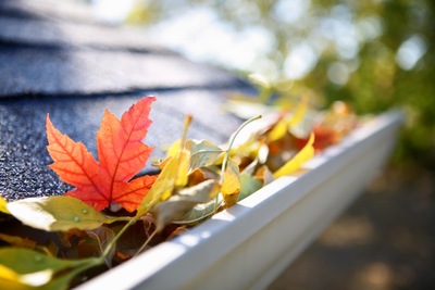 Central Florida Fall Maintenance